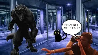 I GOT EATEN BY MIRRORS! (Do Not Take This Cat Home) *Ending 19, 20, 18*