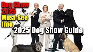 2025 National Dog Show Explained | Date, Time, How to Watch & Full Guide oneworld news
