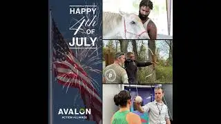 Happy 4th of July - Avalon Action Alliance