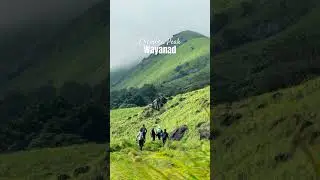 Don&rsquo;t miss Chembra Peak if you visit wayanad #chembrapeak #wayanad #trekking