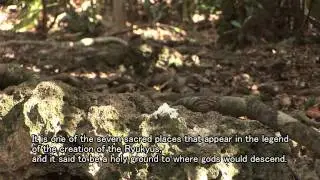 The Sacred Grounds of Kubo on Kudaka Island　bj15.mov