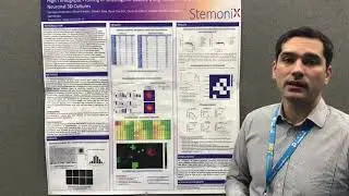 Modeling seizure using the StemoniX microBrain 3D Platform