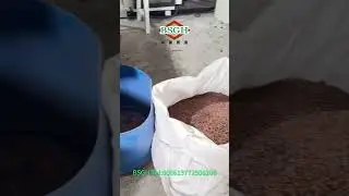 Made In China Copper Wire Recycling Machine From BSGH | Feedback Video Of 1T/H Wire Chopper ECO1000