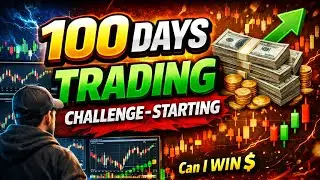 Starting My 100 Days Trading Challenge | Real Journey Begins #owlmarket #100 days trading challenge