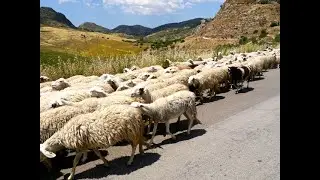 Authentic Sicily: The hills of Sant'Angelo Muxaro
