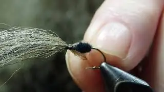 Vingemaur/Vårflue