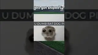 bro got sniped 🥀😭#roblox #thestrongestbattlegrounds #shorts #funny #tsb