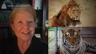 Humane Voices for Peters