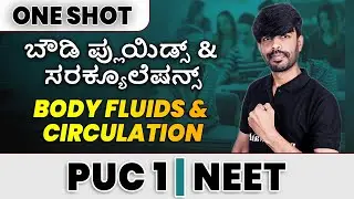 BODY FLUIDS AND CIRCULATION in 1 Shot - All Theories & PYQs Covered | PUC 1 | NEET