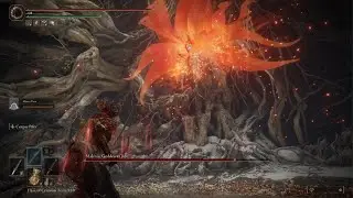 Malenia, Blade of Miquella - Rot vs Blood