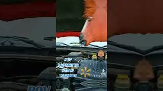 #fyp #funny #comedy #auto #repair #animals #pets #viral #shorts #reels #trending #videos #laugh #you