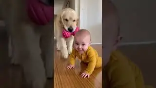 Unexpected baby and dog moments that make you smile instantly 😆🐾#BabyComedy #DogLife  #YTShorts