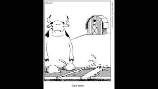 Cow Tools (Bluegrass)