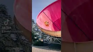 Toboggan walygator