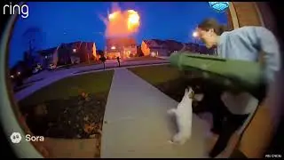 Dog blows up house #sora #ai #dog #gun #funny