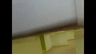 CGI Rohners backrooms demo (from 2024)