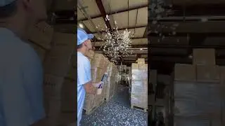 White Circle Confetti Cannons