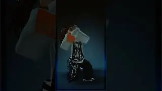 who do you think you are?