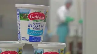 Buffalo Behind the Scenes: Lactalis