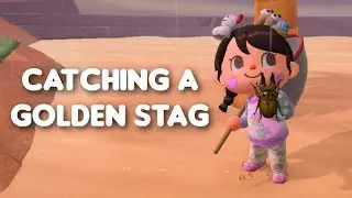 catching a golden stag in ACNH
