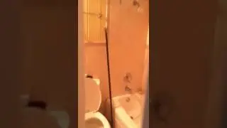 The cottage flip