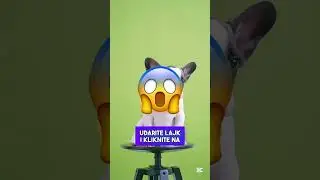 20 Dana Nisu Bili Kod Kuće i OVO ih je Sačekalo! 😱