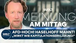 MEINE MEINUNG: AfD-Umfragehoch! 