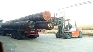 Bongkar kayu log besar pkai forklip