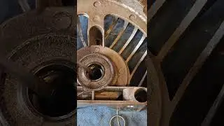 Hedge cutter damaged crankshaft lip seal #stroke #cutter #seal #engine #crankshaft