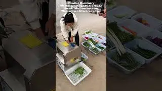 Multi Functional Rotary Blade Chili Pepper Slicing Machine