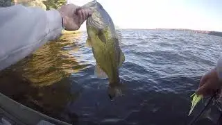 CAUGHT 5.5LB SMALLMOUTH Trolling for Walleye - Early Fall (Wisconsin River, Wisconsin Dells)