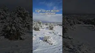 Mountain Wilderness is a Winter Wonderland! #snow #winter #subscribe #shorts #youtubeshorts #fyp