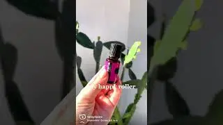 Young living essential oils for travel | Essential oils to bring with you on vacation￼