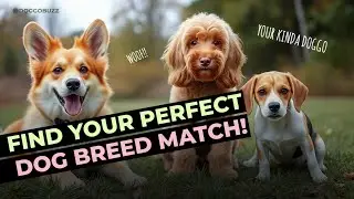 Find Your Perfect Dog Breed Match!