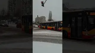 Solaris Urbino 12 III na 3 w kierunku Kolonia Sitaniec #autobus #solaris #mzk #zamość #polska #bus