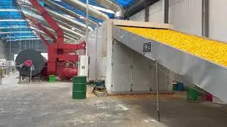 Large Fruit Dryer Machine- Orange peel dried as a food spice