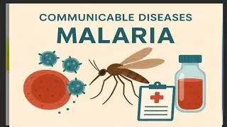 Malaria | Causes, Symptoms, Prevention & Treatment |  Vector-Borne Disease #communicablediseases