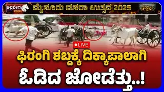 Feared Royal Bullocks Create Ruckus At Mysuru Palace | ಫಿರಂಗಿ ಶಬ್ದಕ್ಕೆ ದಿಕ್ಕಾಪಾಲಾಗಿ ಓಡಿದ ಜೋಡೆತ್ತು.!