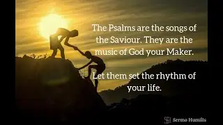 The Rhythm of Life