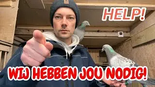 HELP! Kijk Niet Weg &ndash; Wij Hebben JOU Nodig 🕊️