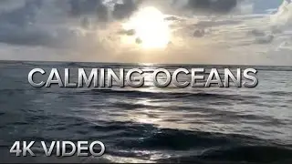 Healing at First Light | Sunrise Ocean Waves to Realign, Release & Recenter | Clarity & Inner Peace