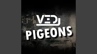 Pigeons