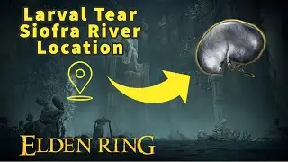 Larval Tear Siofra River - Elden Ring