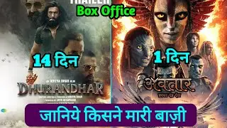 Dhurandhar Box Office Collection Day 14 | Avatar 3 Avatar Fire And Ash Box Office Collection,