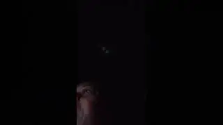 Unseen Violence Due To Snap Benefits Shut Off 