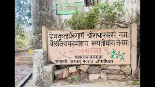 🌸श्री राधा रानी परिक्रमा #live #darsan #barsana #radharani