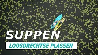 Waanzinnig! Suppen tussen de waterlelies op de Loosdrechtse plassen #stardupp #supboards #suppen