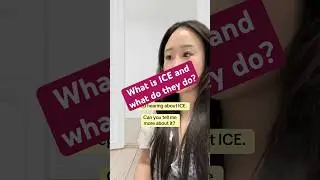 What is ICE and what does it do?