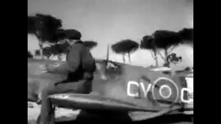 No 3 Squadron RAAF Mustang III, Italy 1944-45, 239 Wing DAF
