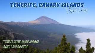 Tenerife Port Day - Teide National Park and La Laguna